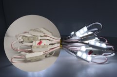 12V 0.48W Mini Üçlü IP67 10000K Modül Led