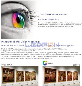 24V 10000K COB Şerit Led 10W 480Led/mt IP20