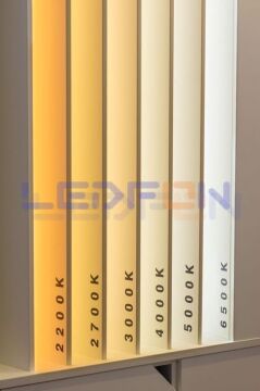 24V 6000K Pixel Magic COB Şerit Led 360 Led/m 12W IP65