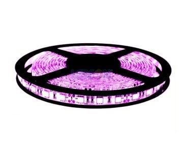 12V 3 Çip Pembe Şerit Led
