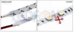 12V 3 Çip Pembe Şerit Led