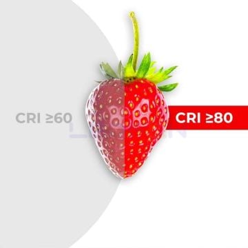 Samsung 24V 6500K Şerit Led 14.4W 70 Led IP20